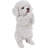 Dog-Poodle Puppy Playing