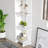 Deddrick Corner Bookcase-1935348525-1890262541