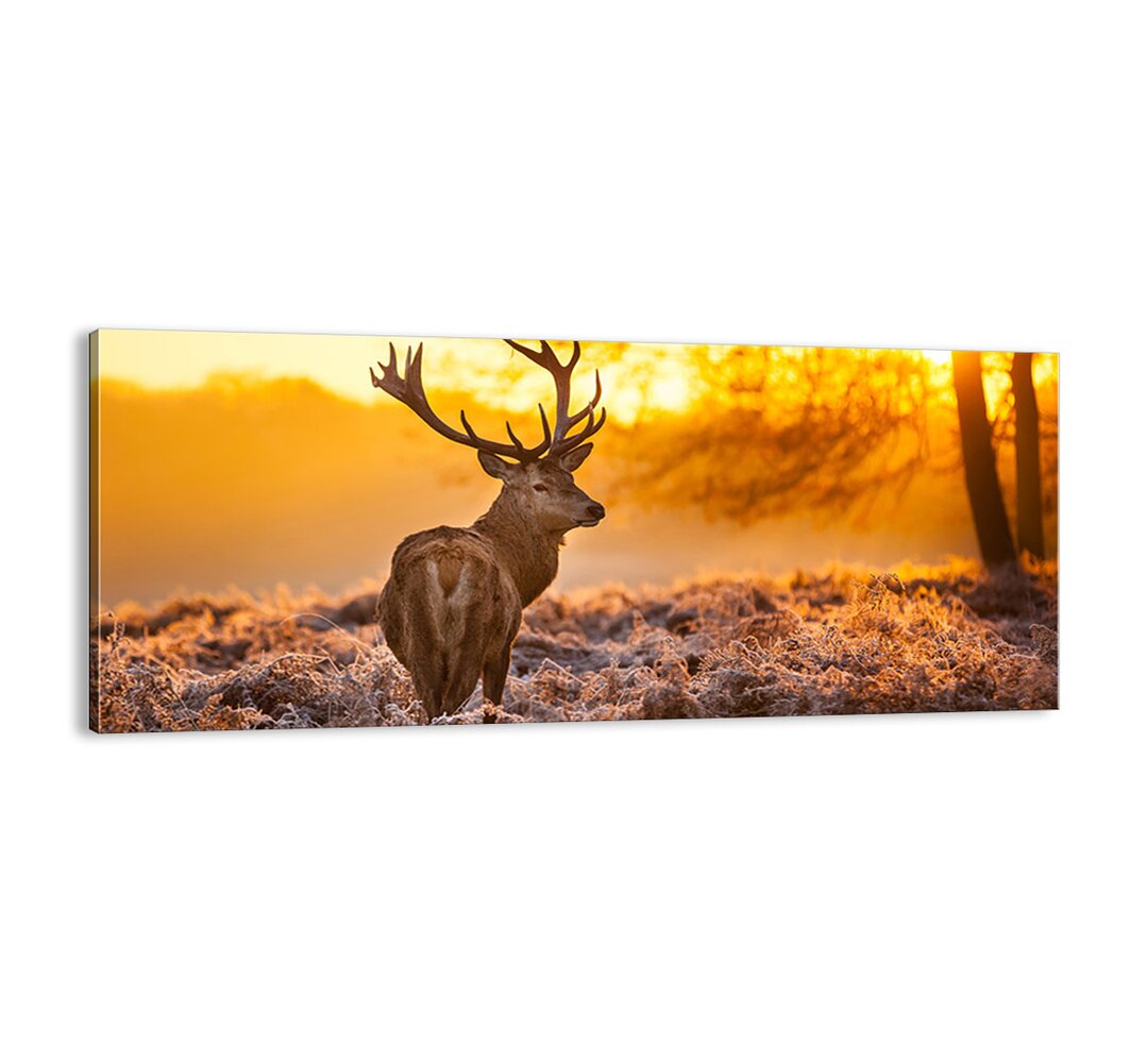 Leinwandbild - Fotografie "König des Herbstwaldes"