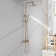 Multi Functional Shower Head