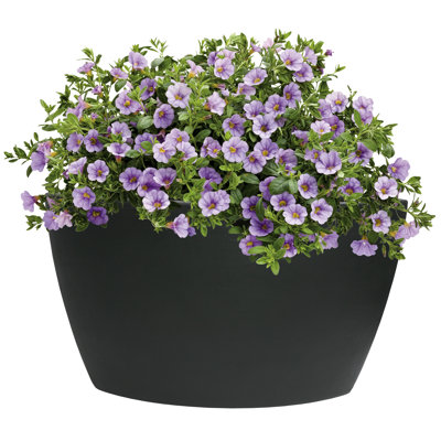 Corner Plastic Pot Planter