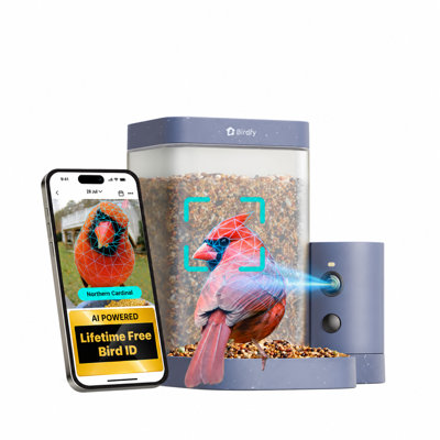 Birdfy Smart Bird Feeder Rookie, Lifetime Free Bird ID, 1080P HD, 60FPS High-Frame Video for Slow-Motion, Night Vision, Waterproof, Free Cloud Storage
