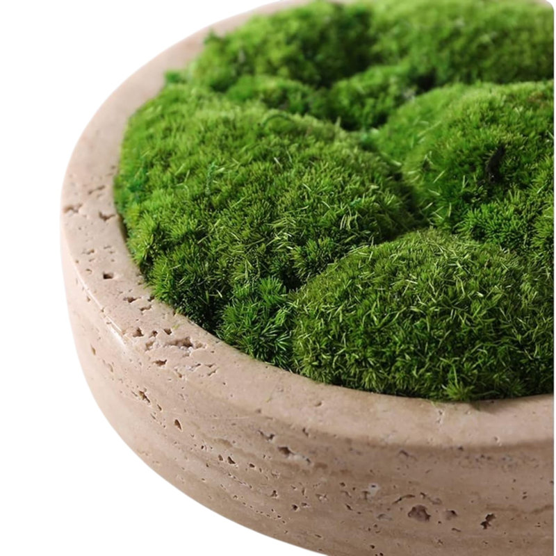 Modern Luxury Travertine Moss Garden Bowl, Beige