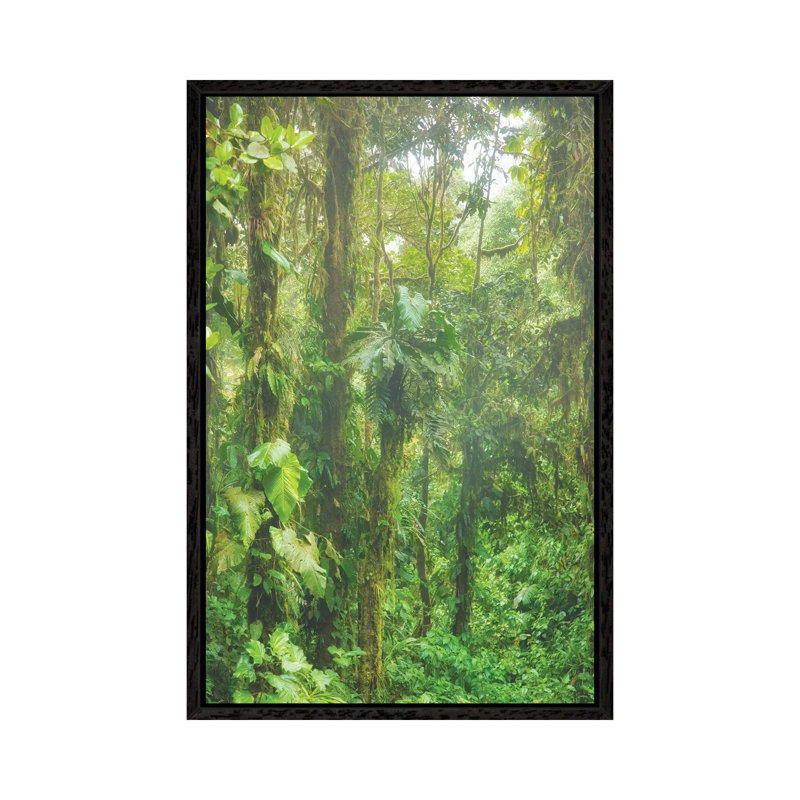 Jungle Mist 1 Piece Wall Art on Canvas, 66.04cm H x 45.72cm W x 3.81cm D, Black Floater Framed