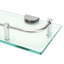Pitcock Glass Floating Shelf