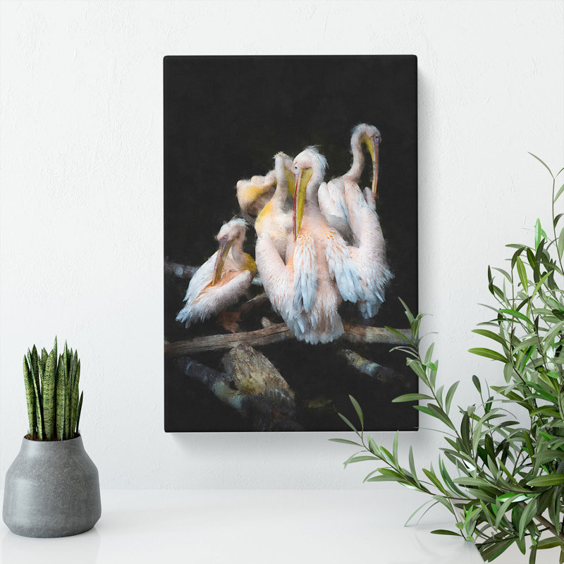 Pelicans - Wrapped Canvas, 60cm H x 40cm W x 3cm D