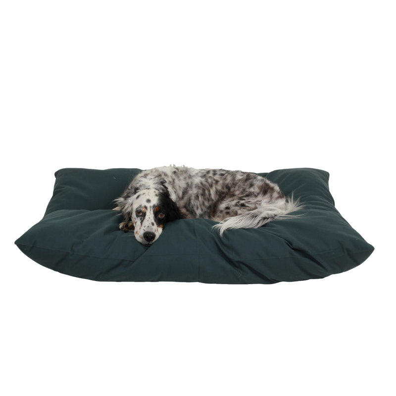 Coussin intérieur / extérieur pour chien Shebang, Grand (l 44 po x P 35 po)