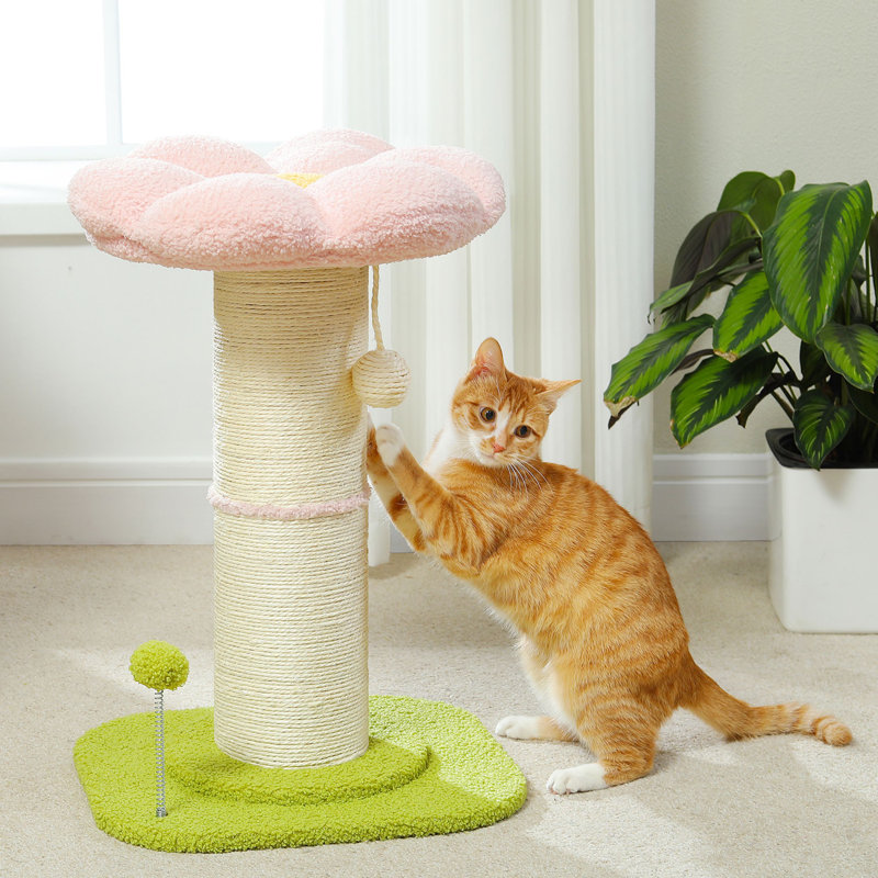 Cat Scratching Post With Spring Loaded Ball,Cat Condos & Cat Trees,Cat House,Cat Bed, Pink