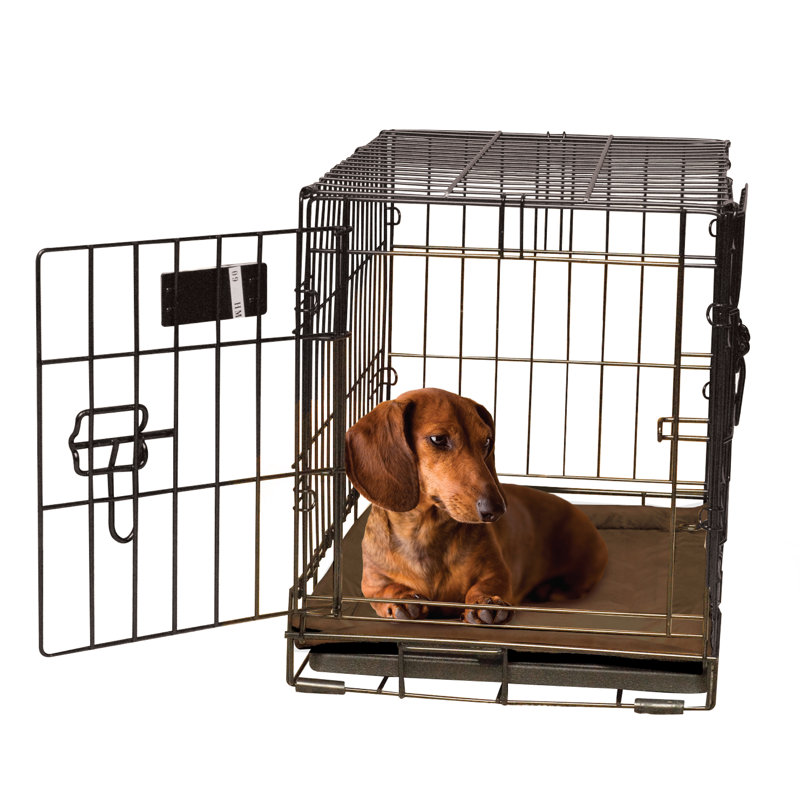 Tapis de caisse pour chien auto-chauffant, Petit (l 25 po x P 20 po x H 0,5 po), Moka