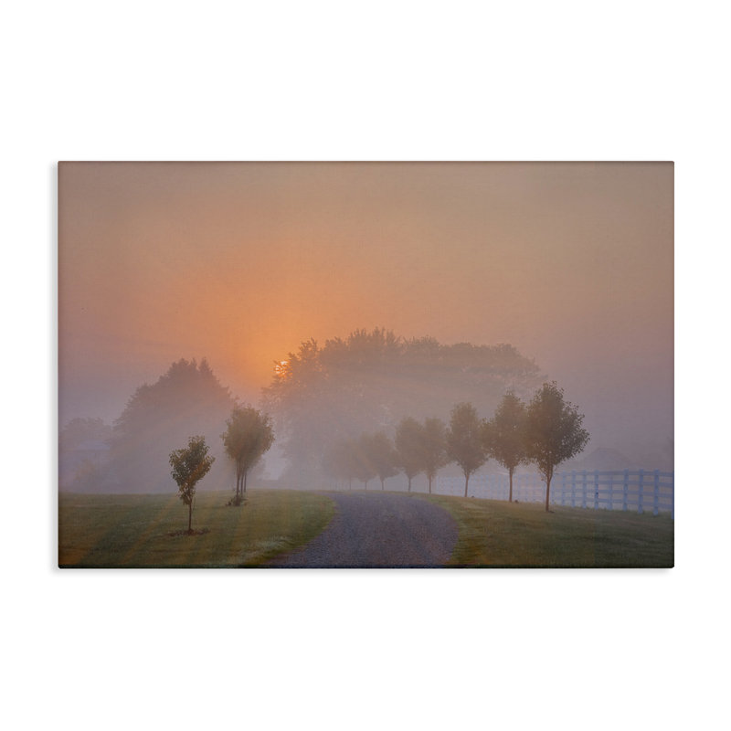 Grove Path at Sunset Canvas Wall Art by Marty Hulsebos, 24" H x 36" W