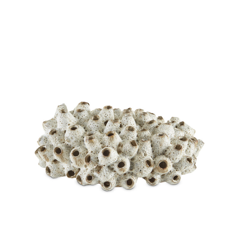 Sulawesi Shells Sculpture