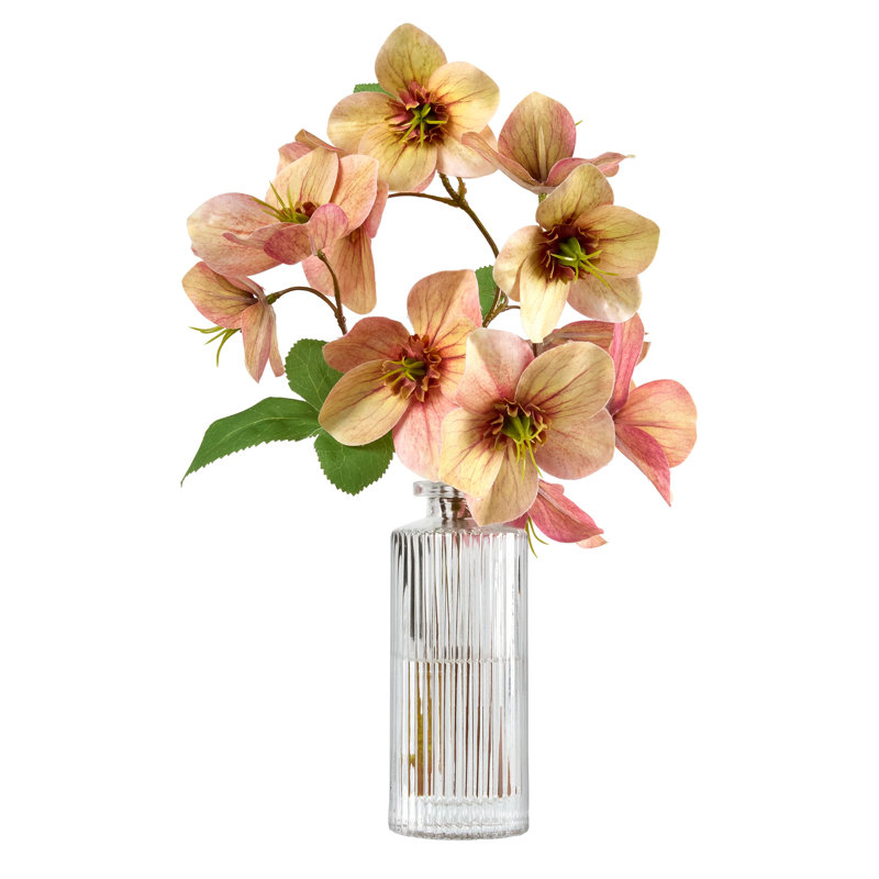 Corail Hellebores dans un vase en verre
