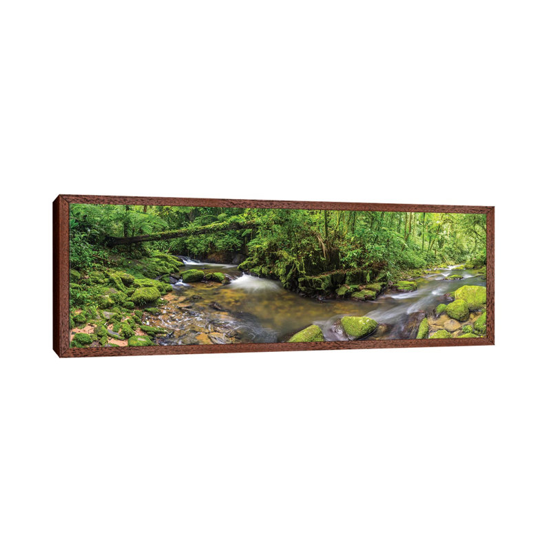 Jungle Panorama I by Glauco Meneghelli - Print on Canvas, 121.92 cm H x 40.64 cm W, Brown Floater Frame