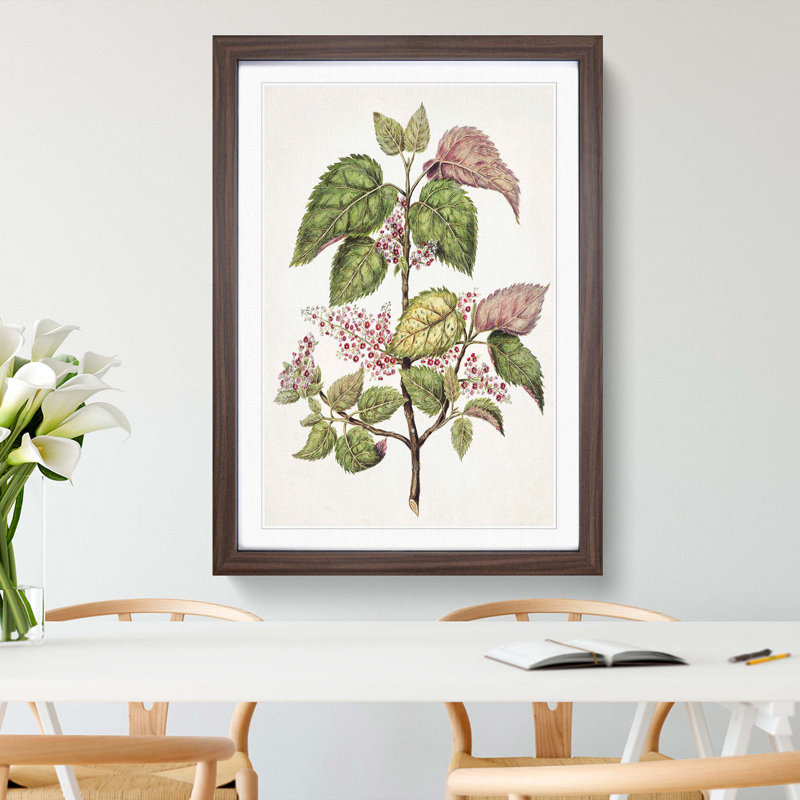 Pink Flowering Flowers by Sarah Featon - Framed Print, 48cm H x 36cm W x 2cm D, Walnut Framed