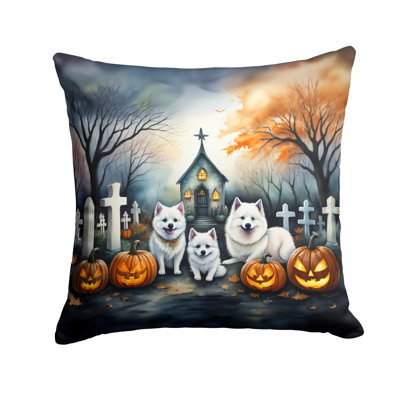  Other/No Pattern Throw Pillow