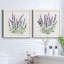 Lavande botanique I - ensemble de 2 peintures sur toile encadrées-2026641858-2026641859