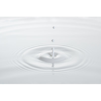 Drop Of Milk by Xiepeng - Wrapped Canvas Print