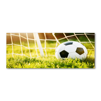 Ball in the Goal 1 Piece Wrapped Canvas Wall Art