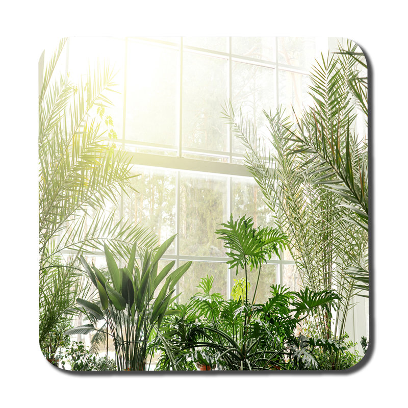 Square 6 Piece Coaster Set