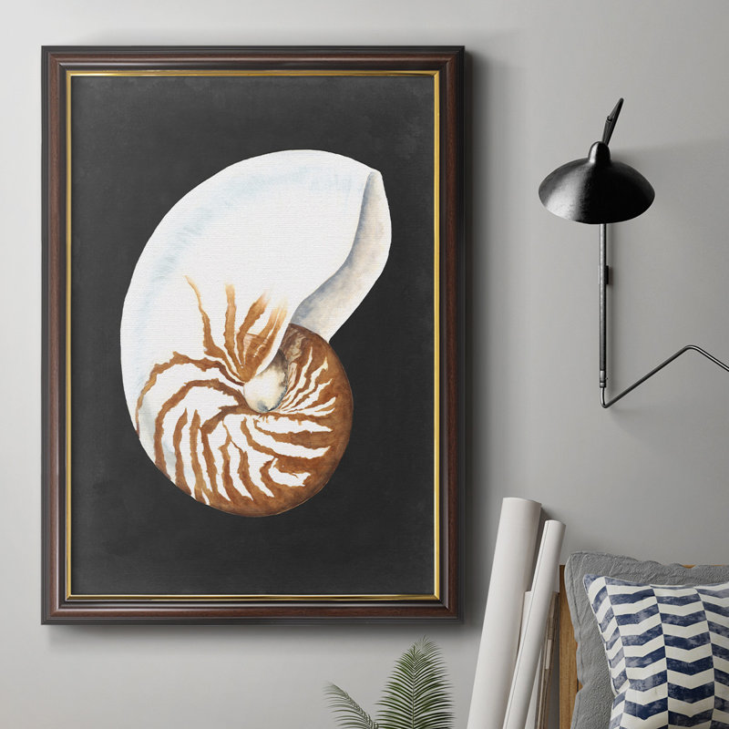 Graphic Nautilus - Peinture sur toile encadrée, H 20 po x l 16 po x P 2,5 po