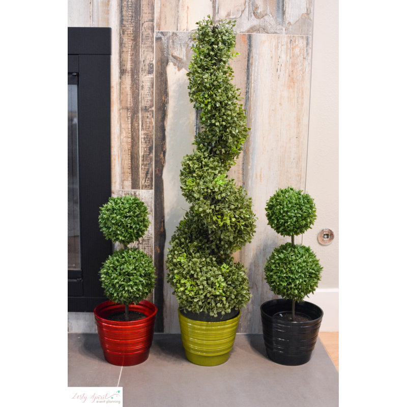 Ashmore Ceramic Pot Planter, Black