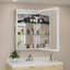 Armoire à pharmacie avec miroir à DEL, l 20 po x H 28 po avec éclairage à intensité variable, désembuage, très grand espace de rangement, tablettes en verre réglables, encastré ou à fixation en surface, homologué ETL-248107400-236323938-236323940