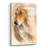 " Afgan Hound " by Barbara Keith-1515031274