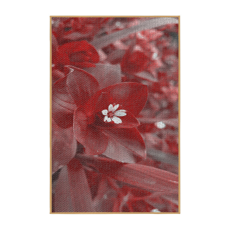 Tapis de la zone rouge focus 123, Rectangle 4 pi x 6 pi