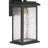 Riam - 1-Light Outdoor Wall Sconce - Black with Brass Accent - Rain Glassware Shade