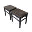 Pair of 19th Century Black Lacquered Side Tables