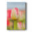 Twotone Tulip -Custom Wrapped Gallery Cavas-1285275169