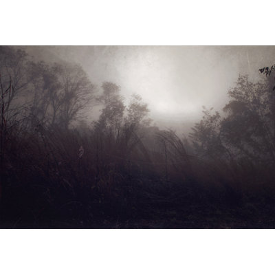 Dark Field - Wrapped Canvas Painting