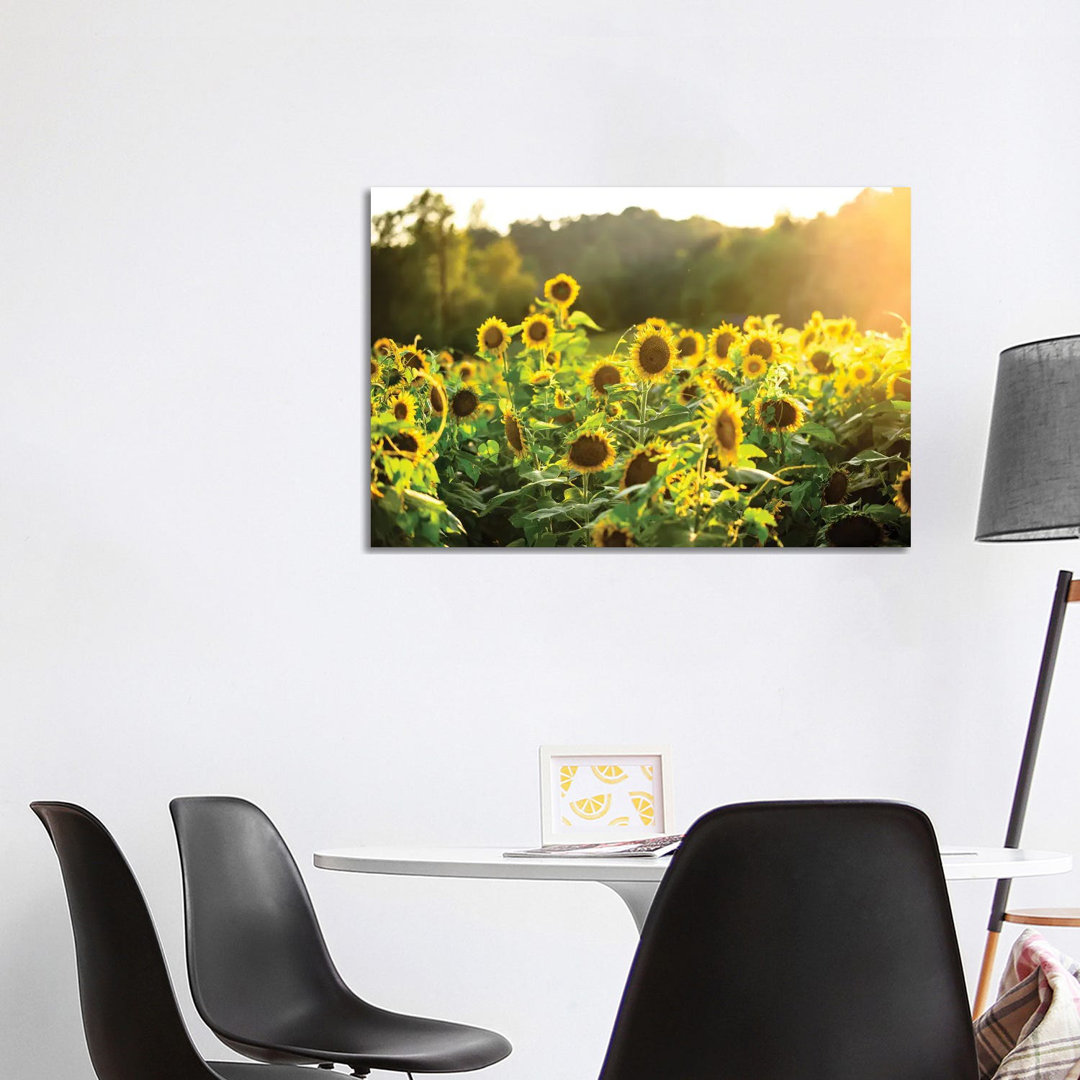 Sunflower Sunshine by Lucas Moore - Wrapped Canvas Print