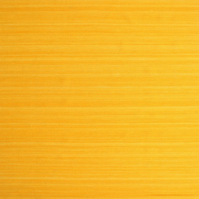 Indoor Rug