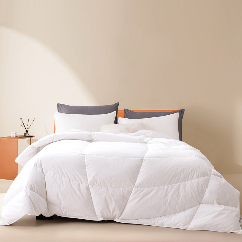 Édredon en duvet d'oie Latitude Run® Premium, mi-chaud pour toute l'année, Roi
