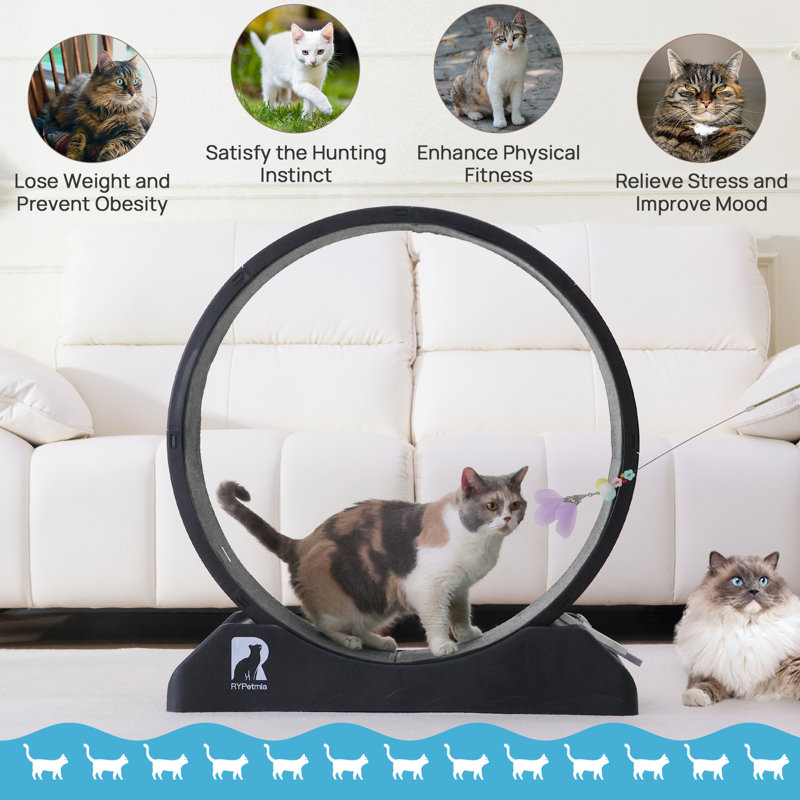 Emmani 33.5'' Noiseless and Lockable Cat Treadmill Exercise Running Wheel, Black