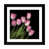 Black Framed Fine Art Paper selected