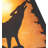 11.5" Square Wolf At Dawn Shade