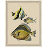 Tropical Fish With Gold Detail 1 Print