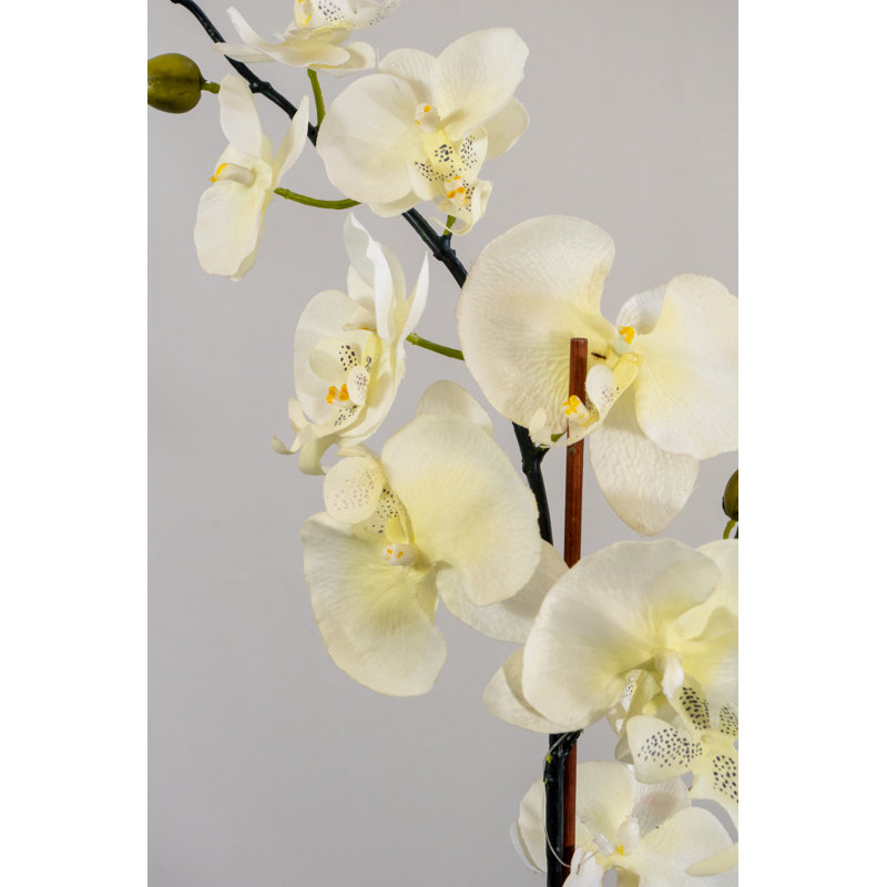 25cm Faux Orchid Plant in Ceramic Pot, Cream