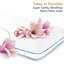 Silvestri Alwyn Home Memory Foam Firm Support Pillow-1395560772