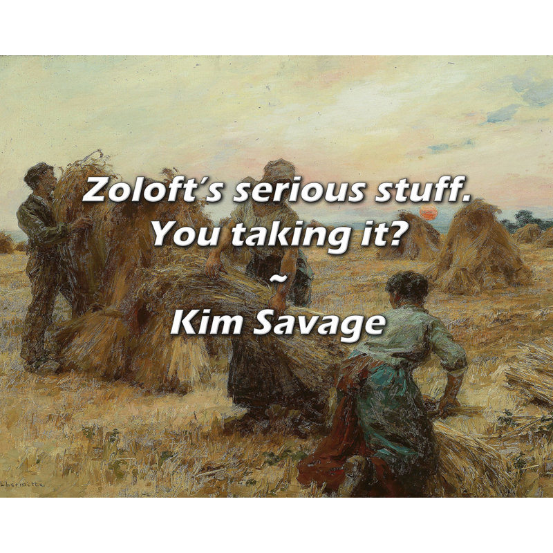 Citation de Kim Savage: les choses sérieuses de Zoloft. Vous le prenez?, H 20 po x l 24 po