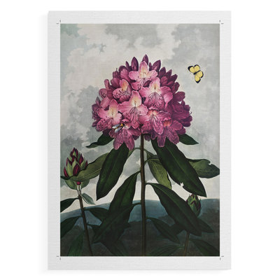 Temple de la Flora X - reproduction de toile seulement - non encadrée