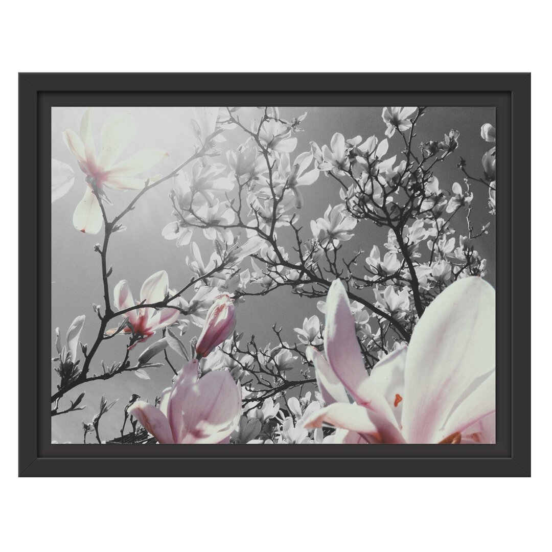 Gerahmtes Wandbild schöne Magnolie Blüten