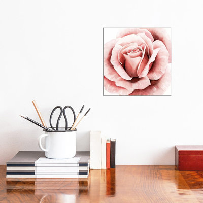Pink Rose II by Grace Popp - Wrapped Canvas Painting