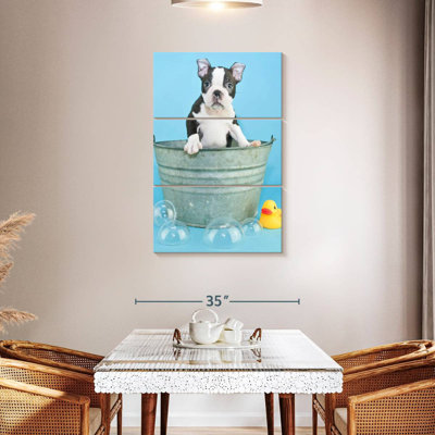 Brampt Bathing Terrier Dog