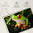 Brampt Tree Frog-107850620