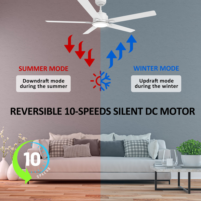 Essex Smart 5 - Blade LED Ceiling Fan with Remote Control Light Kit, Downrod, White, 56"