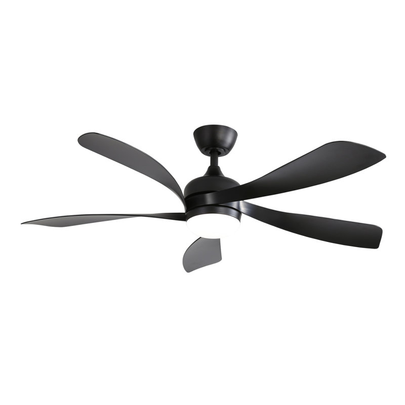 Ventilateur de plafond 52 pouces à profil bas avec télécommande, moteur à courant continu silencieux pour le salon de patio