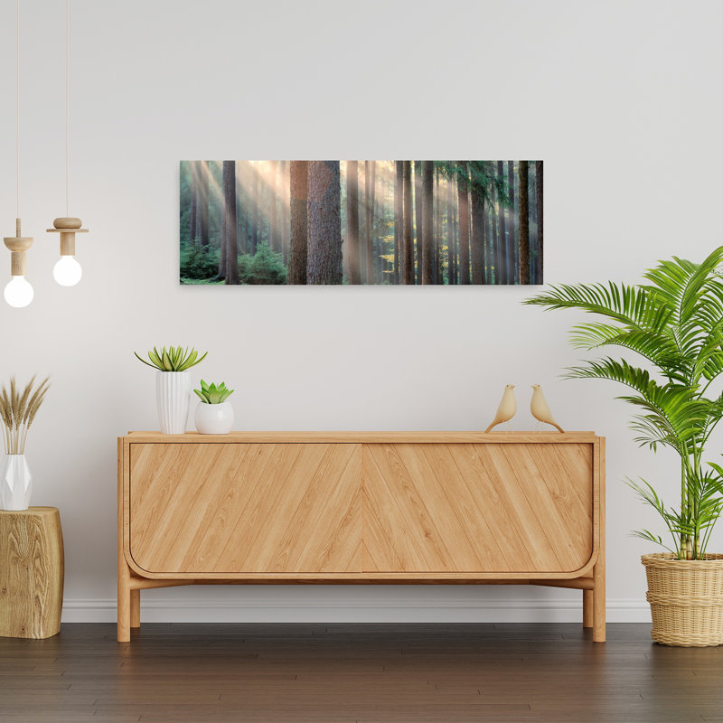 Sunlight Shining Through Trees In A Forest South Bohemia Czech Republic by Frank Chmura - Wrapped Canvas Panoramic Print